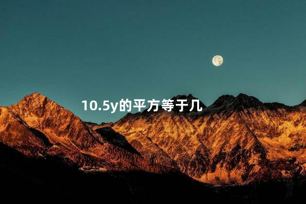 10.5y的平方等于几