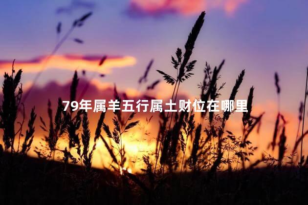 79年属羊五行属土财位在哪里