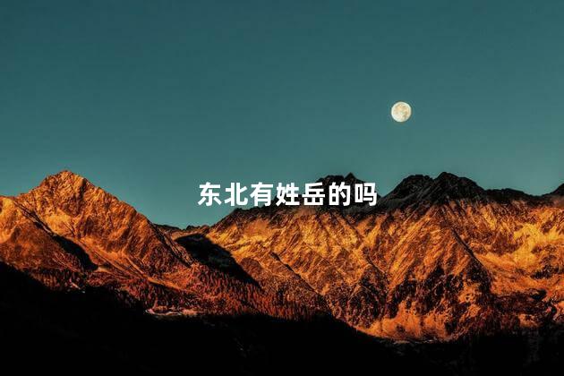 东北有姓岳的吗