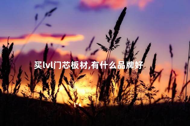 买lvl门芯板材，有什么品牌好