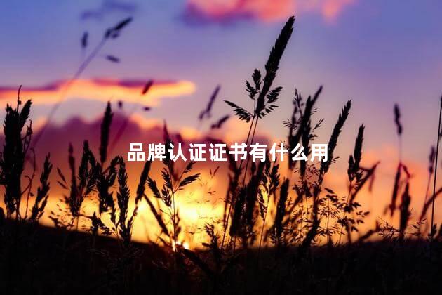 品牌认证证书有什么用