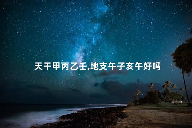 天干甲丙乙壬,地支午子亥午好吗