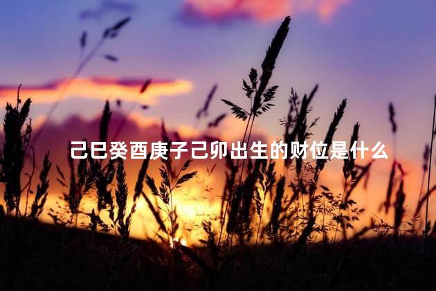 己巳癸酉庚子己卯出生的财位是什么