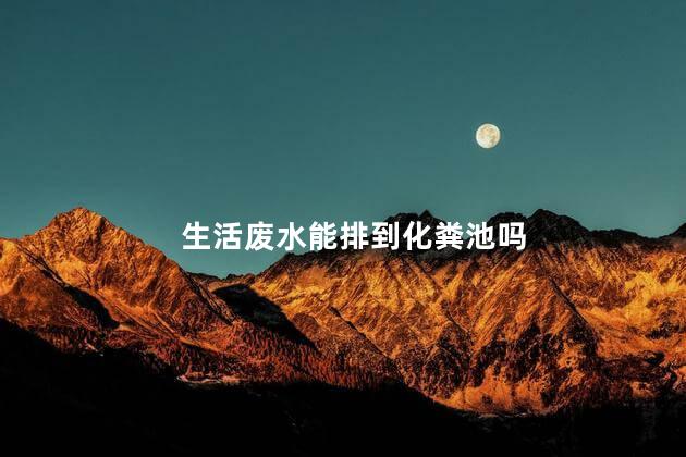 生活废水能排到化粪池吗