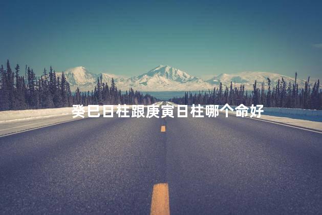 癸巳日柱跟庚寅日柱哪个命好