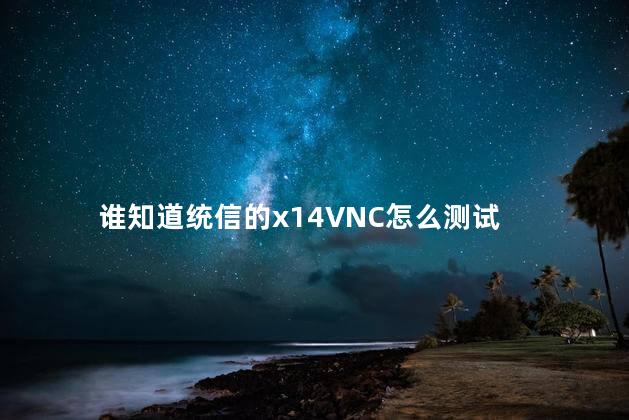 谁知道统信的x14VNC怎么测试