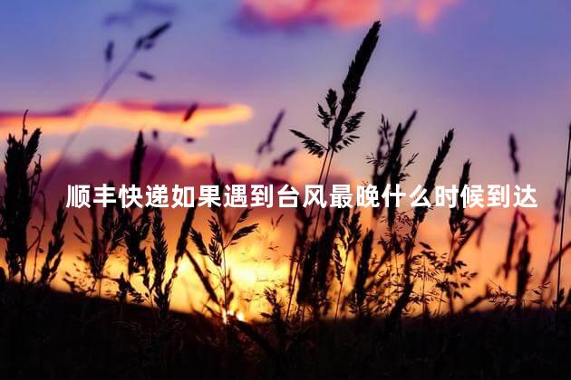 顺丰快递如果遇到台风最晚什么时候到达