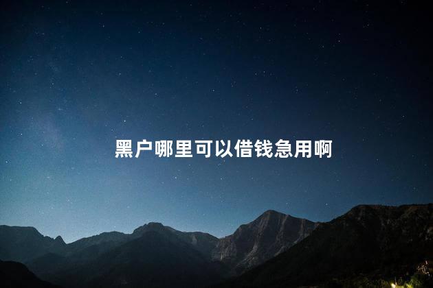 黑户哪里可以借钱急用啊